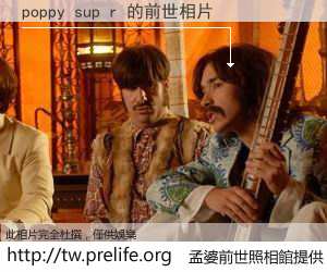 poppy sup r 的前世相片