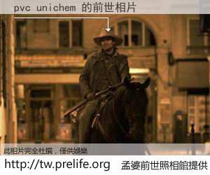 pvc unichem 的前世相片