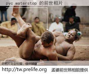 pvc waterstop 的前世相片