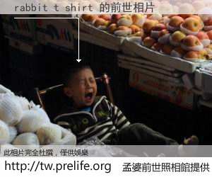 rabbit t shirt 的前世相片