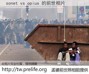 sonet vs opius 的前世相片