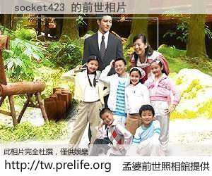 socket423 的前世相片