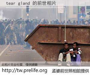 tear gland 的前世相片