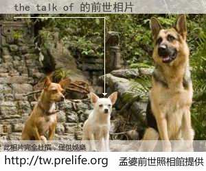 the talk of 的前世相片