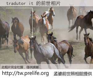 tradutor it 的前世相片