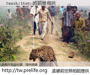 twaskitter 的前世相片