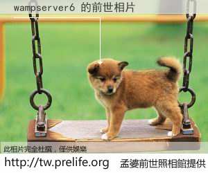 wampserver6 的前世相片