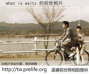 what is waltz 的前世相片