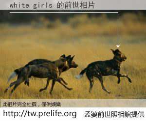 white girls 的前世相片
