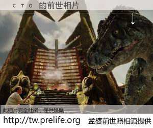 сто 的前世相片