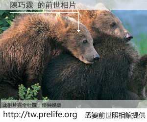 陳巧霖 的前世相片