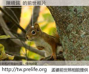 陳晴銘 的前世相片