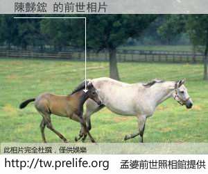 陳豑鋐 的前世相片