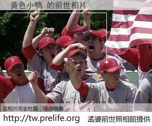 黃色小鴨 的前世相片