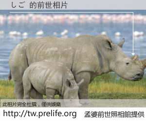 しご 的前世相片