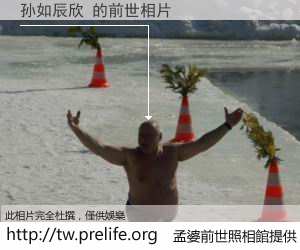 孙如辰欣 的前世相片