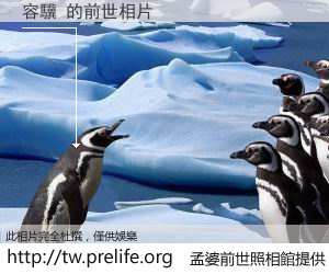 容驥 的前世相片