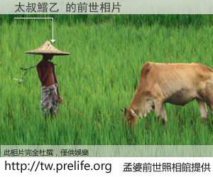 太叔鱨乙 的前世相片