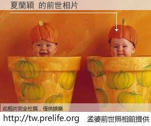 夏蘭穎 的前世相片
