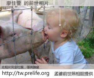 廖佳萱 的前世相片