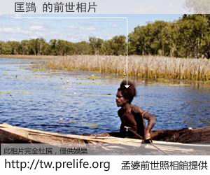 匡鷑 的前世相片