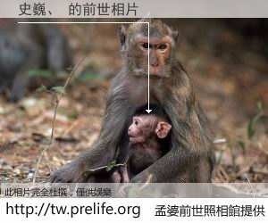 史巍、 的前世相片