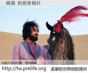 杨澔 的前世相片