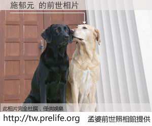 施郁元 的前世相片