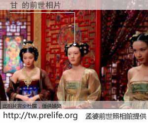 甘 的前世相片