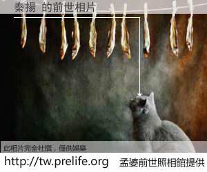 秦揚 的前世相片