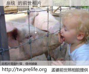 糸统 的前世相片