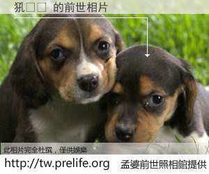 犼�� 的前世相片
