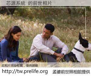 芯源系統 的前世相片