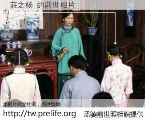 莊之杨 的前世相片