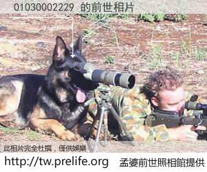 01030002229 的前世相片