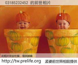 03185232452 的前世相片