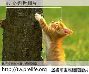 Jy 的前世相片