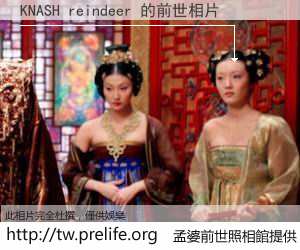 KNASH reindeer 的前世相片