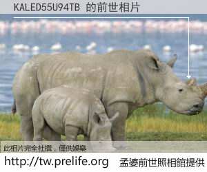 KALED55U94TB 的前世相片