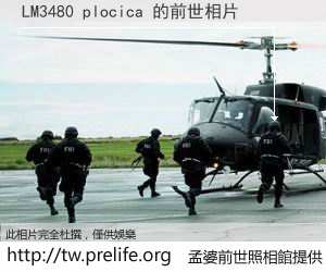 LM3480 plocica 的前世相片