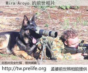 Mira Aroyo 的前世相片