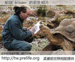 NISE binder 的前世相片