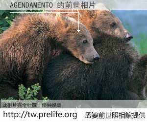 AGENDAMENTO 的前世相片