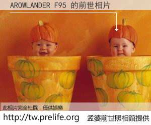 AROWLANDER F95 的前世相片