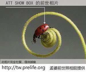 ATT SHOW BOX 的前世相片