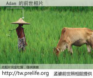 Adam 的前世相片