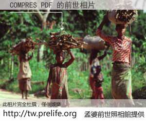 COMPRES PDF 的前世相片