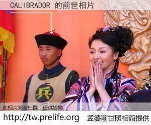 CALIBRADOR 的前世相片