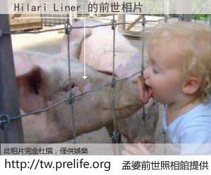 Hilari Liner 的前世相片