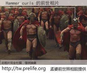 Hammer curls 的前世相片